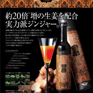 ハーブザイム１１３プロ（５００ml）　ジンジャー